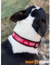 Alpha Industries psí obojek RBF Dog-Tag Collar