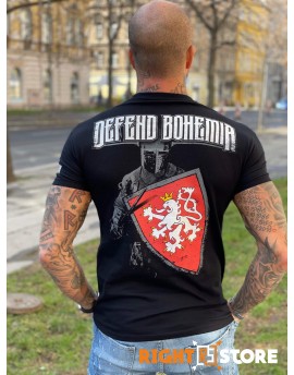 Rowdie pánské triko Defend Bohemia 2