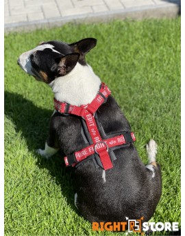 Alpha Industries Dog RBF Harness