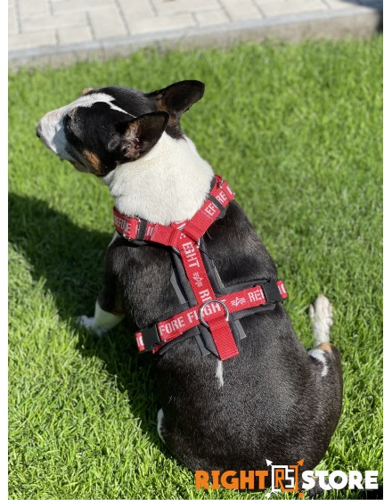 Alpha Industries Dog RBF Harness